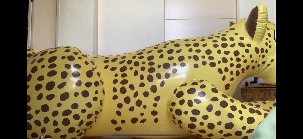 inflatable3860's tweet photo. プロフでポッパーに限りなく近いノンポッパーと書きましたが正確にはパンパンに膨らませてそれに乗ってギリギリを責めるのが好き
なのでそれが原因でお気に入りに穴開けちゃうこともしばしば...
ギリギリを責めるのが好きなくせに
空ビ→割ったら勿体ない
風船→割れるの超怖い
のでノンポッパーです https://t.co/sQGKHPY1i4