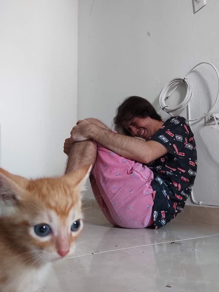 me : Why is life so sad these days?
cat : Where is the food?