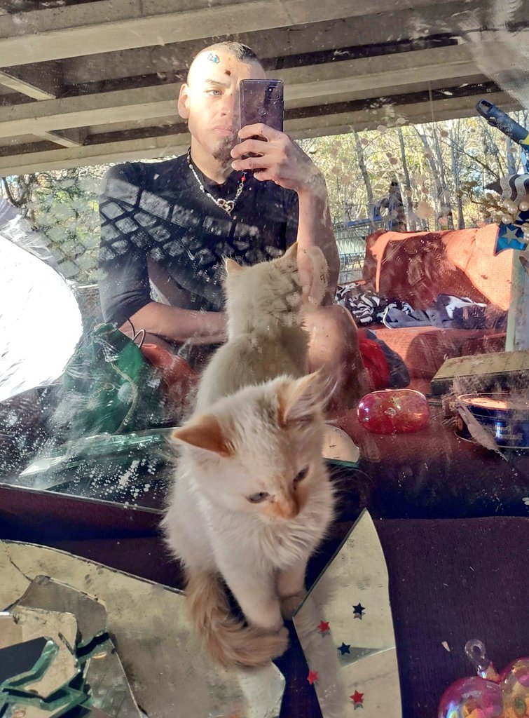 AntonioReyesTx's tweet photo. Hey Chicorita & Jolene. Days Like These Are Reminder To Not Forget The Sacrifice You Made For Me During The Village Witch Hunt Days In The Oak Forest. I Miss You #Familiars #Charmed #NationalCatDay #BlackCats #WhiteCars #Caturday #CatsOfTwitter 🐅🐆🐈🐾😾😿 https://t.co/J88aFksCdP