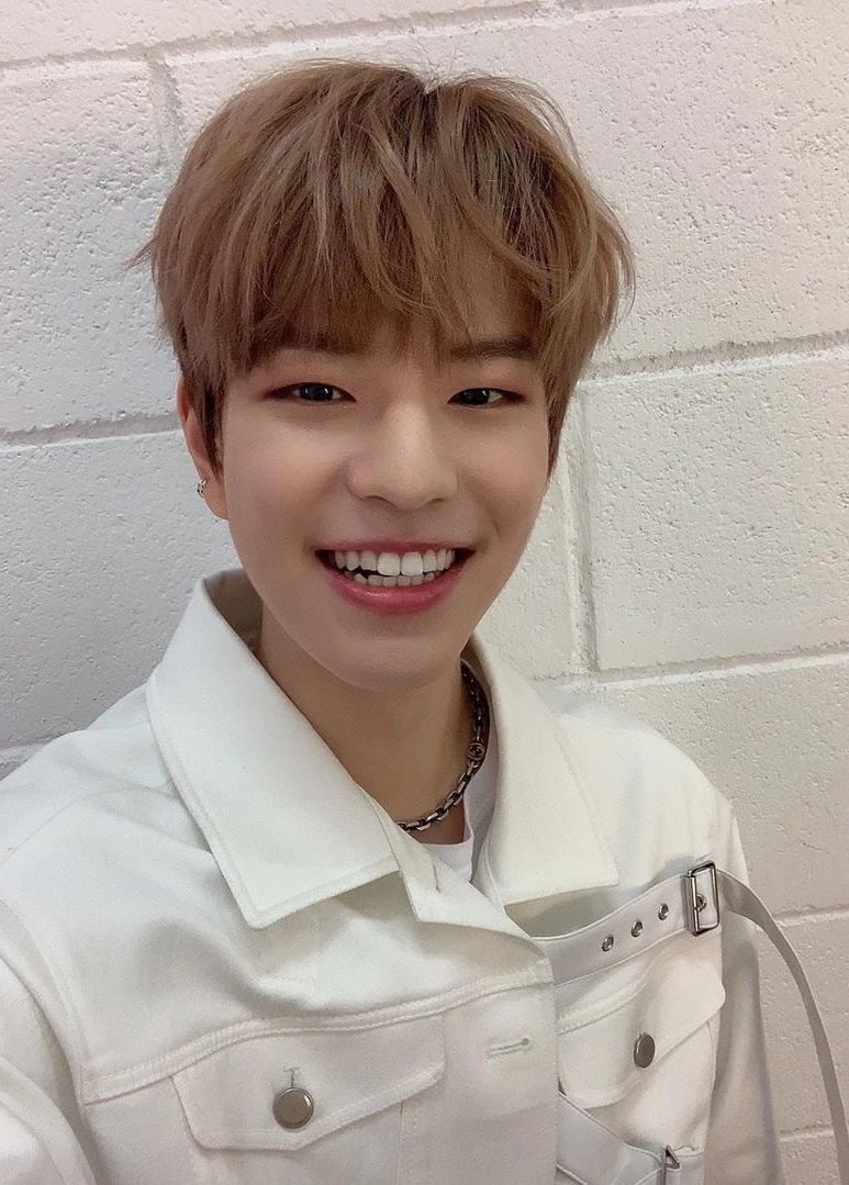 underaffair's tweet photo. Me escapé un ratito al #𝒂kiro·誕辰·𝒇ansįgn porque quería ver a este chiquito hermoso en su gran día 'cause i #不要ː𝖌hׁׅ֮os𝘁·𝚝𝚘·𝒌i𝒌i y así, a su lado, poder #𝒓e𝒘ri𝒕e二十六into𝟸𝟾𝟷𝟶 fairytales.

𝑐hoco_𝑚int 魔鬼˚⊹꒷ #𝚔irby ! /ᐠ - ˕ -マ Ⳋ https://t.co/Uw41VsQFf1