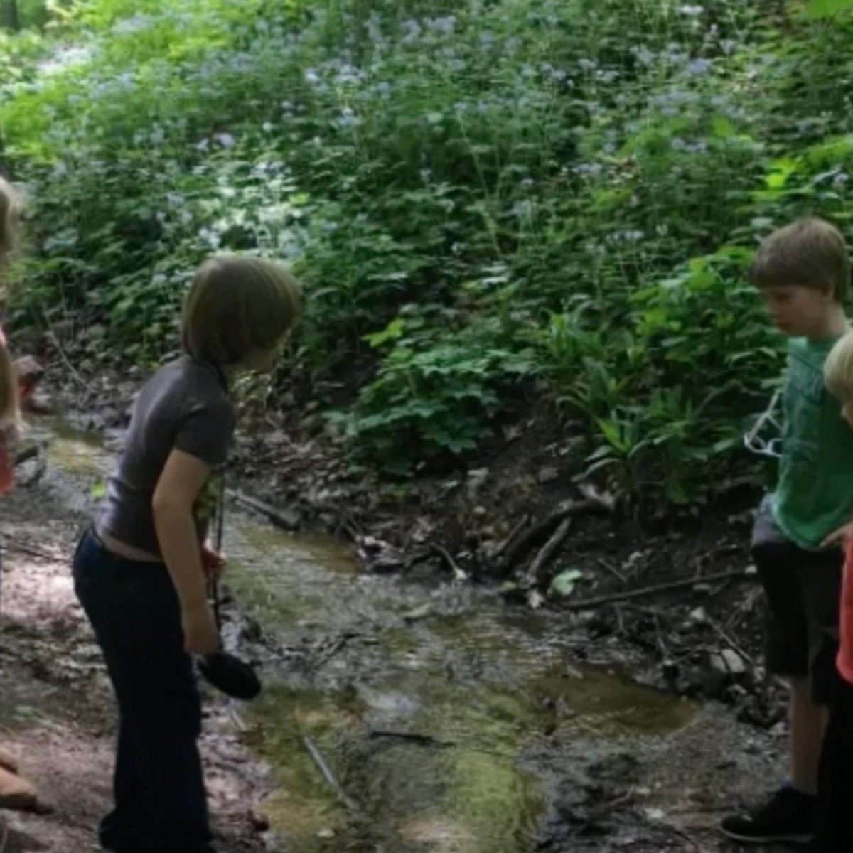 Checkout our youtube channel to learn more about us:
youtu.be/6g4yLLw200Q

#indianawetlands
#indianaenvironment
#politicians
#futureforourchildren