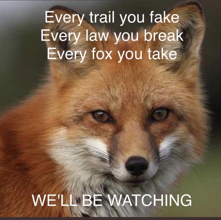 The best of luck to everyone marching through Edinburgh today #forthefoxes

The public are now painfully aware of the #TrailHuntLies & are demanding an end to the smokescreen that allows the brutal hunters to flout the law.

Go well my friends. Be victorious.

#ForTheAnimals🦊❤️