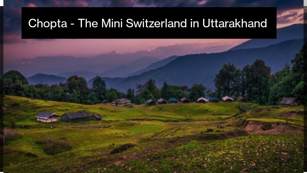 PitaTour's tweet photo. The mini Switzerland in Uttarakhand #chopta #Uttrakhand #india #travel #trekking #Tourism #mountains. https://t.co/hi5oPKEdMq