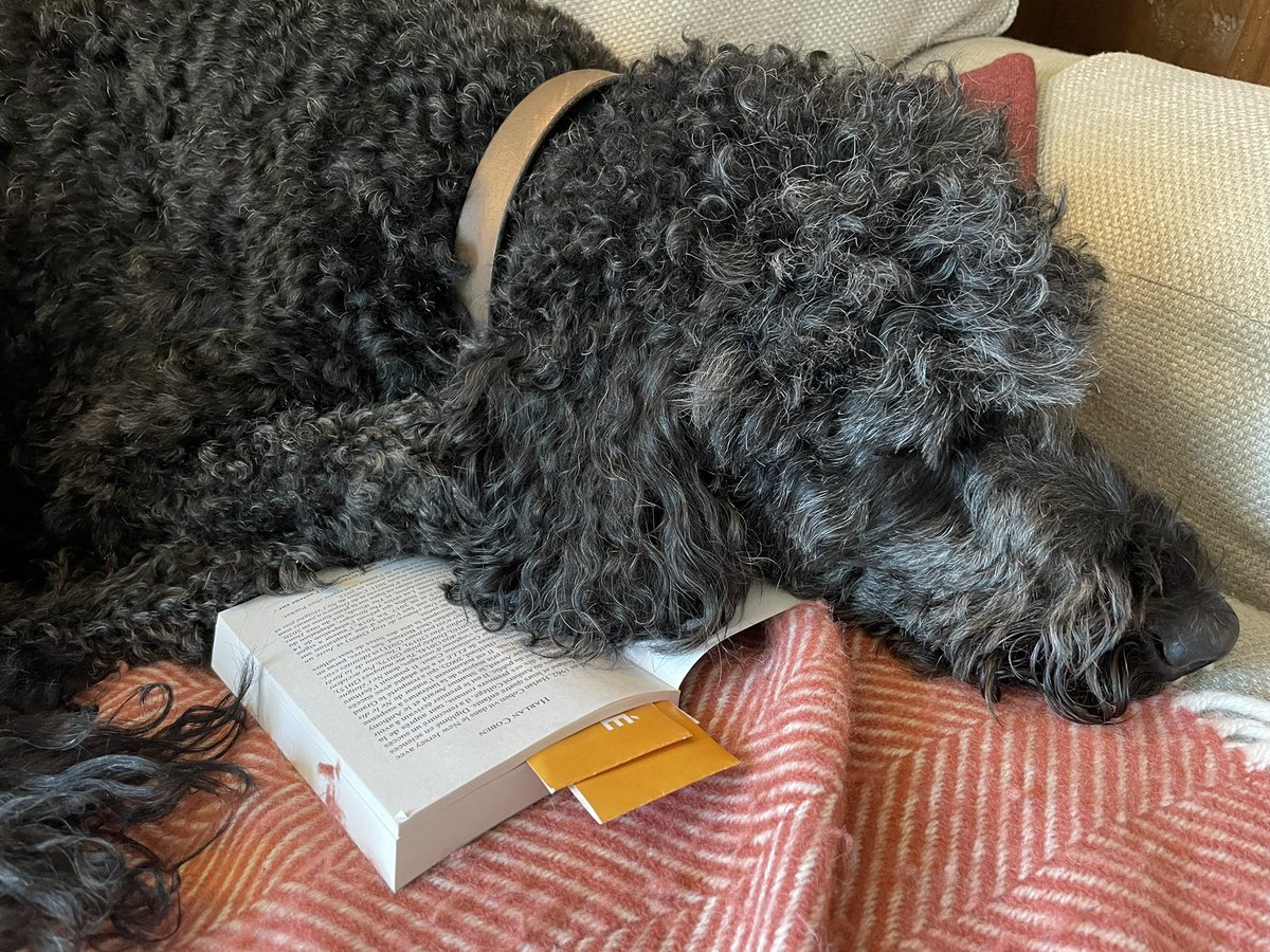 Leo finds that Harlan Coben needs needs some thought between chapters…