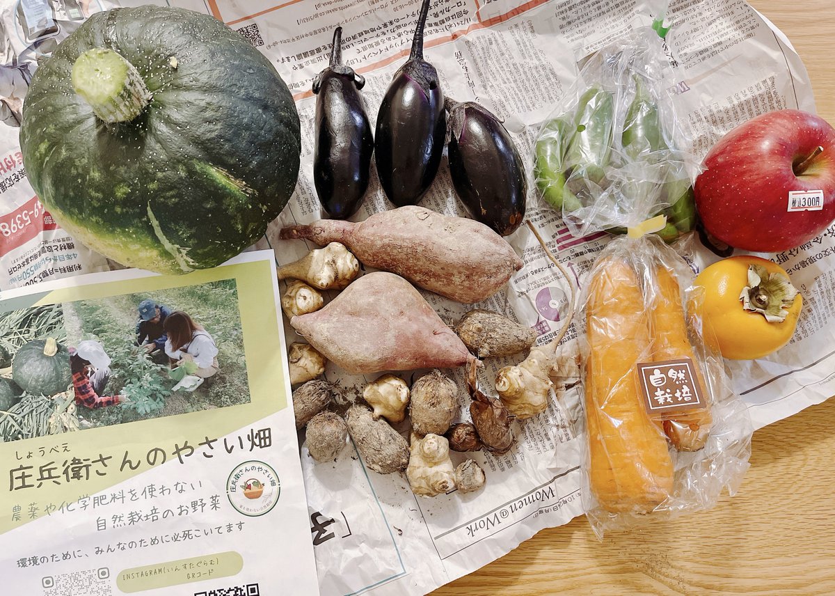 chihua5mai's tweet photo. #ビーガン イベント🌱人と地球と動物に優しいマルシェでgetしたお野菜フルーツたち🍆🎃🫑🥕🍠里芋菊芋🍎柿💕

こうして見てるだけでも可愛いな😍💕

菊芋って初めて買った✨😳食べるインスリンと言われていて、血糖値の急上昇を抑える効果があるらしい( ﾟдﾟ)ﾎｪｰ✨
生でも美味しいらしい🥗💕🤤 https://t.co/Ft98ausGTM