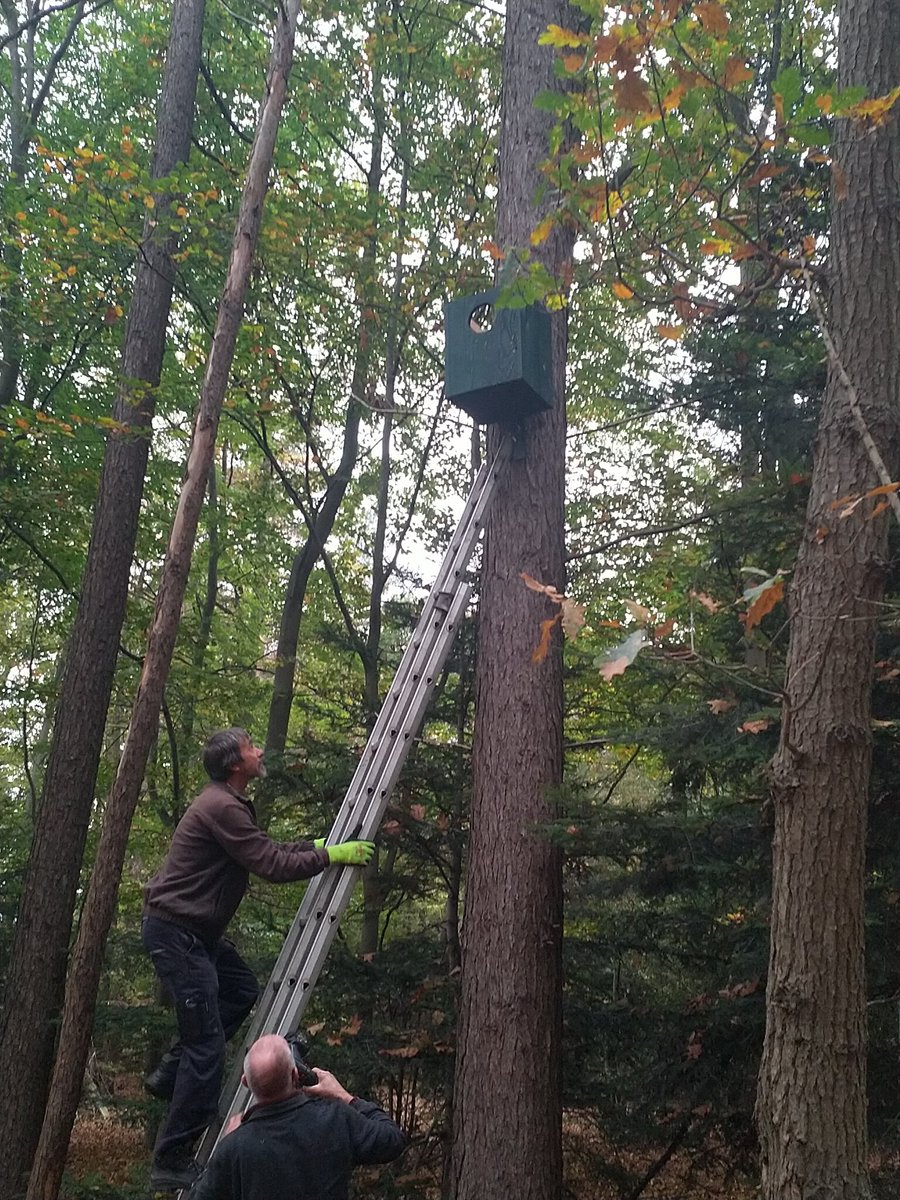 Vogelwerkgroep De IJsselstreek kwam langs in ons bos met bijna 25 kasten voor #kuifmees #grauwevliegenvanger #bosuil #mezen #torenvalk #boomklever etc. #Epse #Driekieftenweg #vogelwerkgroepIJsselstreek 
vwg-deijsselstreek.nl