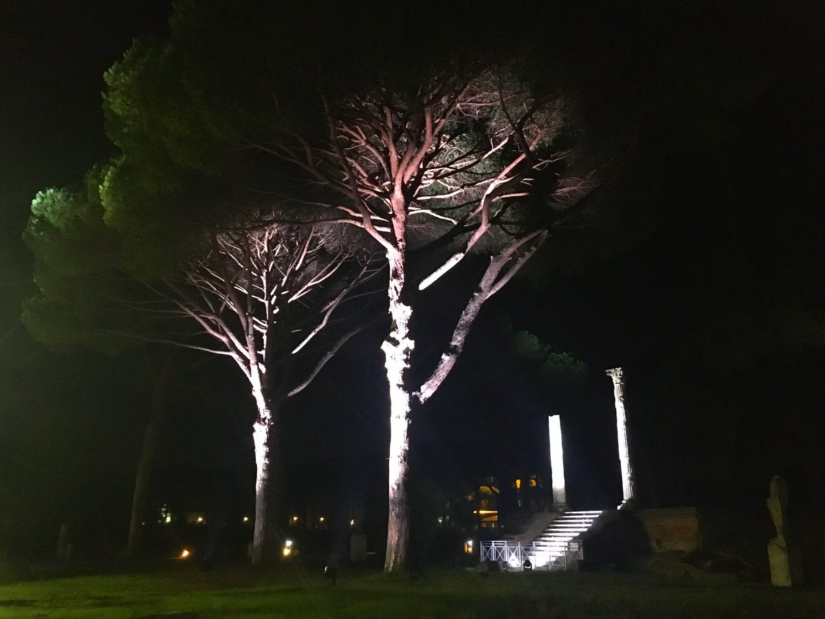 discomfortzone3's tweet photo. “Chi mi dirà buonanotte stanotte mio dio. 
La notte, le stelle, la luna o forse io” (#RinoGaetano)

🐷😇
📸#steNiKvideo https://t.co/YjEwtw5PG8