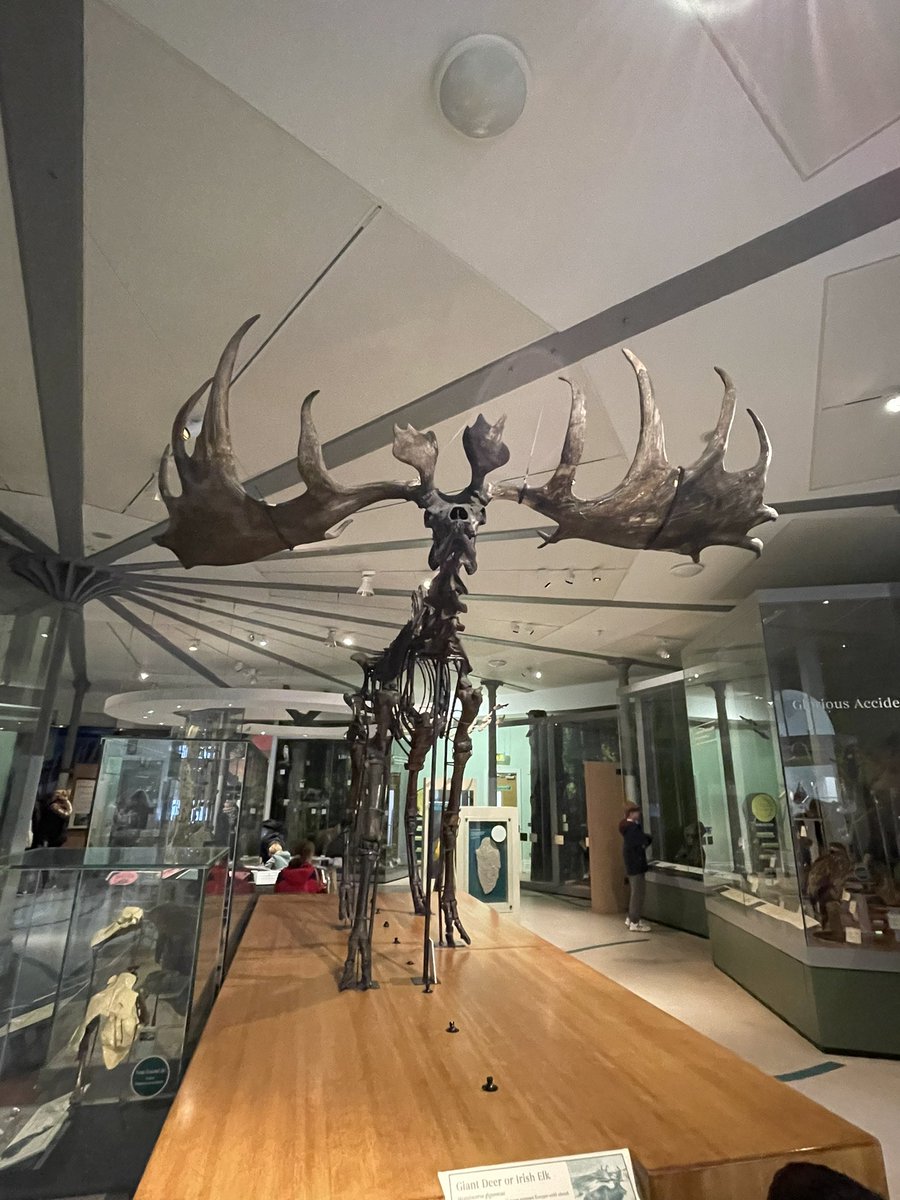 ameliesnaps's tweet photo. @Year2Planets Oliver had a lot of fun at Leeds City Museum exploring their display of Life on Earth, seeing a real life mummy (3000 years old) and spending the day at MathsCity solving puzzles &amp; playing games https://t.co/6zL1crpOFi