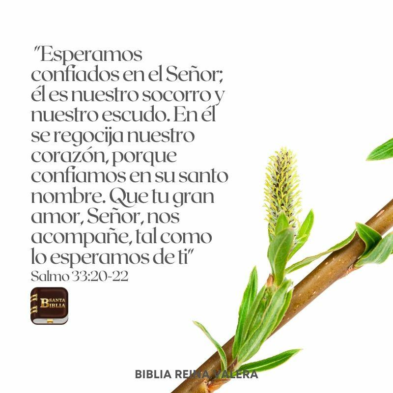 No hay día que Dios no muestre su Gran Amor por Nosotros.. Confía y No pierdas la fe 💛💙❤️