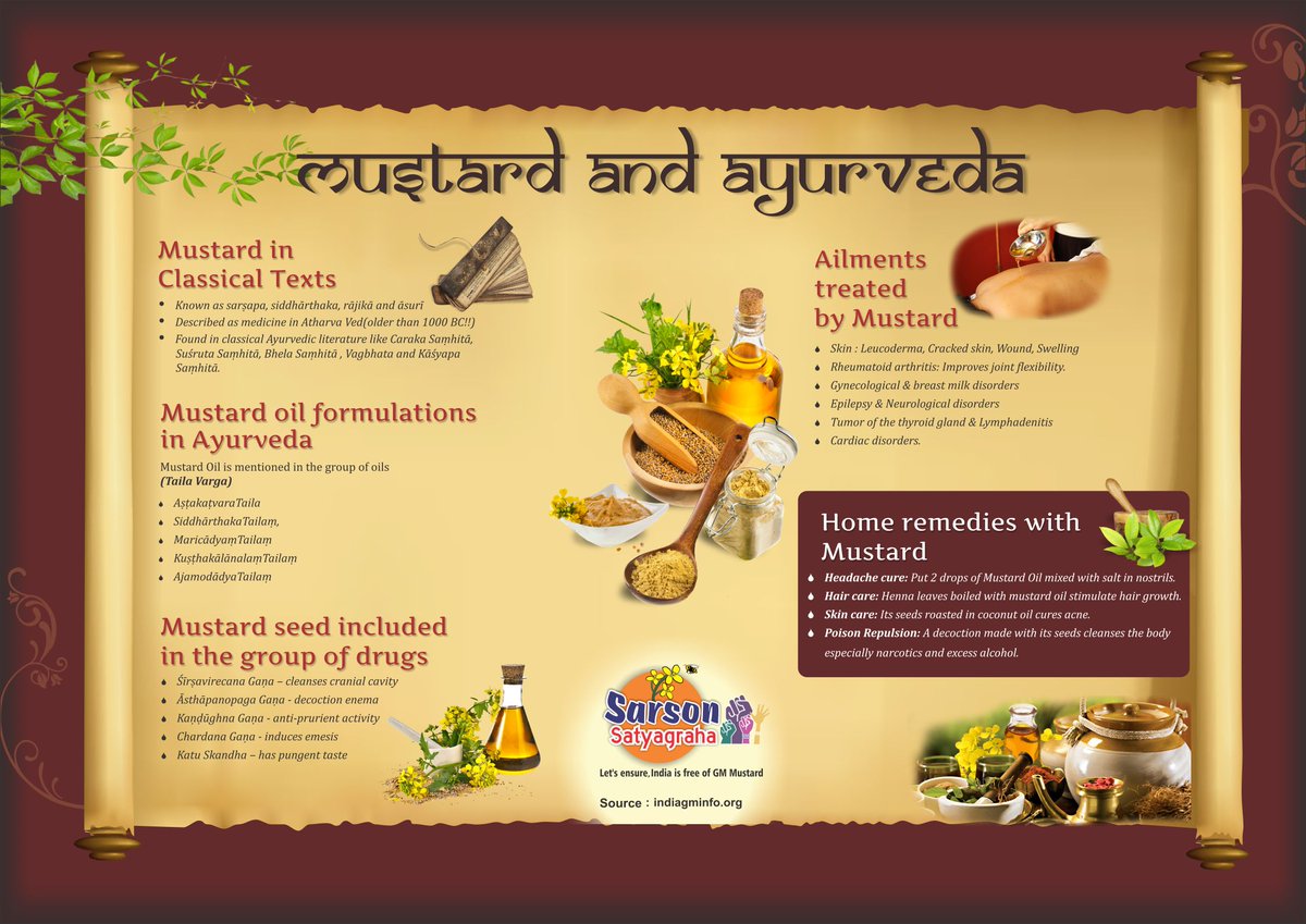 kkuruganti's tweet photo. Did you know that Mustard is used in #Ayurveda and such Indian Systems of Medicine? Dangerous GM mustard will jeopardise this. Say No. #NoGMMustardPoison for us. https://t.co/msVH57YTUb
