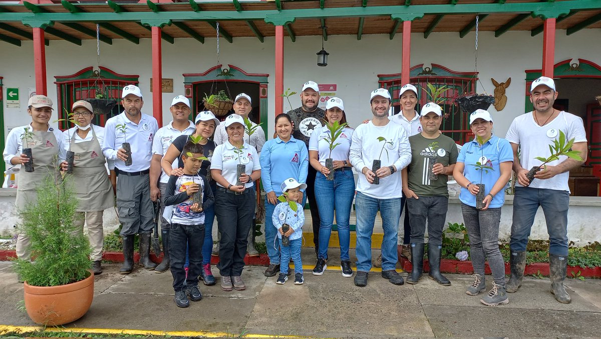 🌱☕️🌳 Los colaboradores del @FNC_Risaralda, participaron de la sembratón como parte de la iniciativa 'Construyendo Sonrisas, Un millón de razones para sembrar árboles'. #Cafeteros #Risaralda #Café #RisaraldaCafetero #TomoCaféDeRisaralda #FNCRisaralda #Siembra #Sembratón