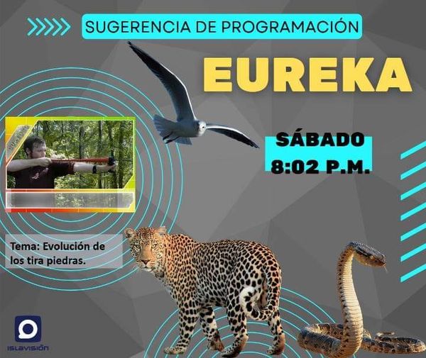 islavisionicrt's tweet photo. #ProgramasIslavision📺
¿Qué no te puedes perder hoy de la programación de nuestro Telecentro que inicia a las 7:57 p.m.?
🎥 Programa: Eureka
📌Tema: La evolución de los tira piedras
✒️🙋🏽‍♂️Escribe y dirige: Francisco Leyva
🕰 Horario: 8:02 p.m.
Los esperamos❗❗❗ https://t.co/houFHAv2tB