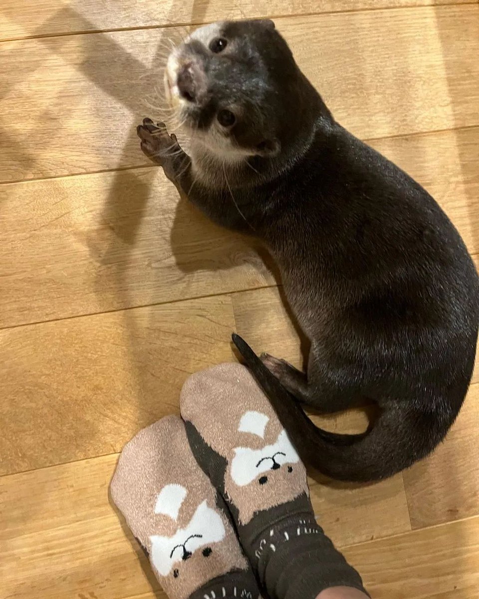 Identify theft is not a joke.