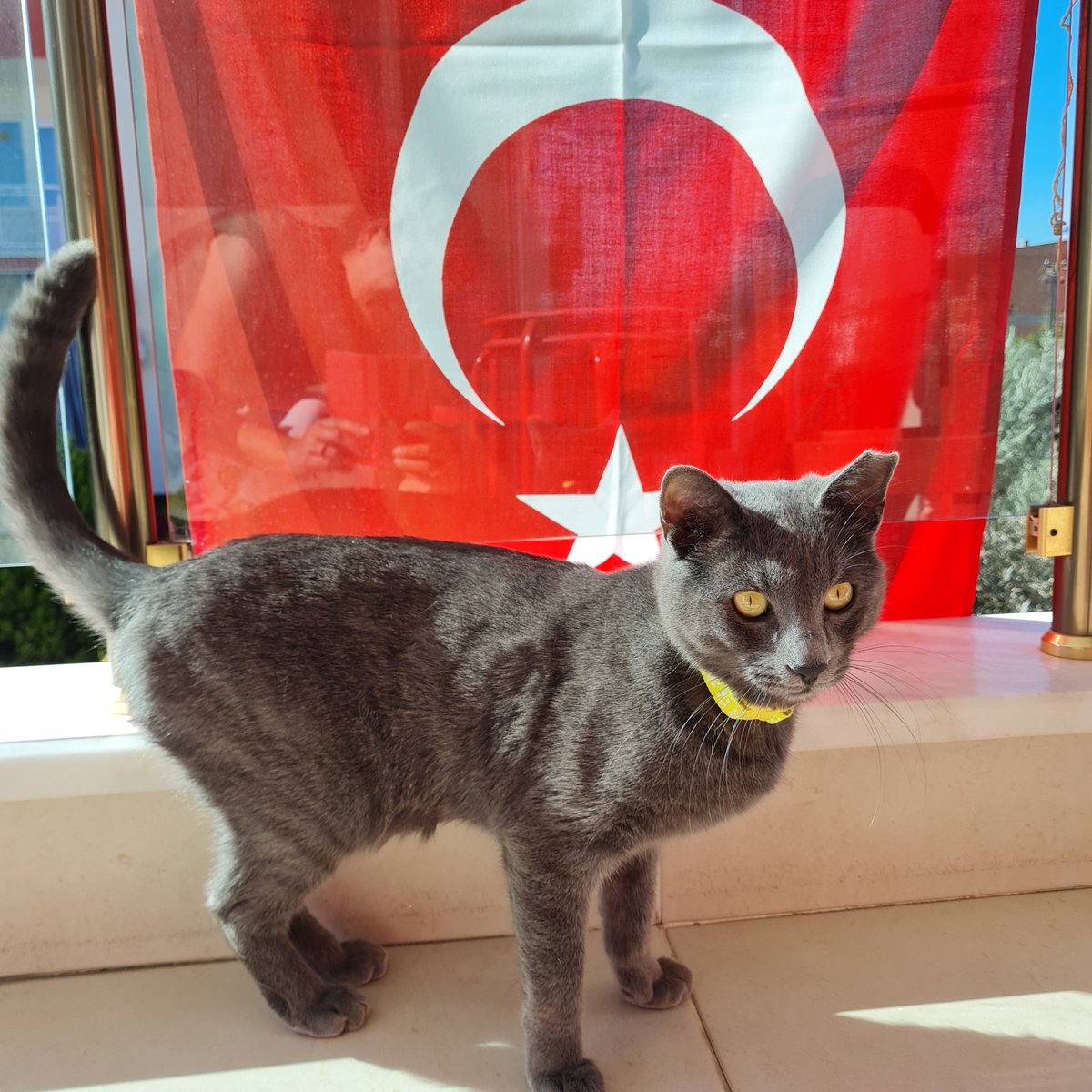 Cumhuriyet bayramımız kutlu olsun...