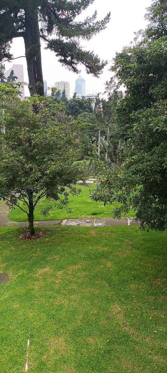 Puka9306's tweet photo. Estoy en el parque nacional, quien para una mamaada en sitio publico? #swbogota #cruisingbogota #doggingbogota #cruising #dogging #sexoenpublico #crussing #cruisingoutdoors #sexoutdoors https://t.co/E0ibETsuJn