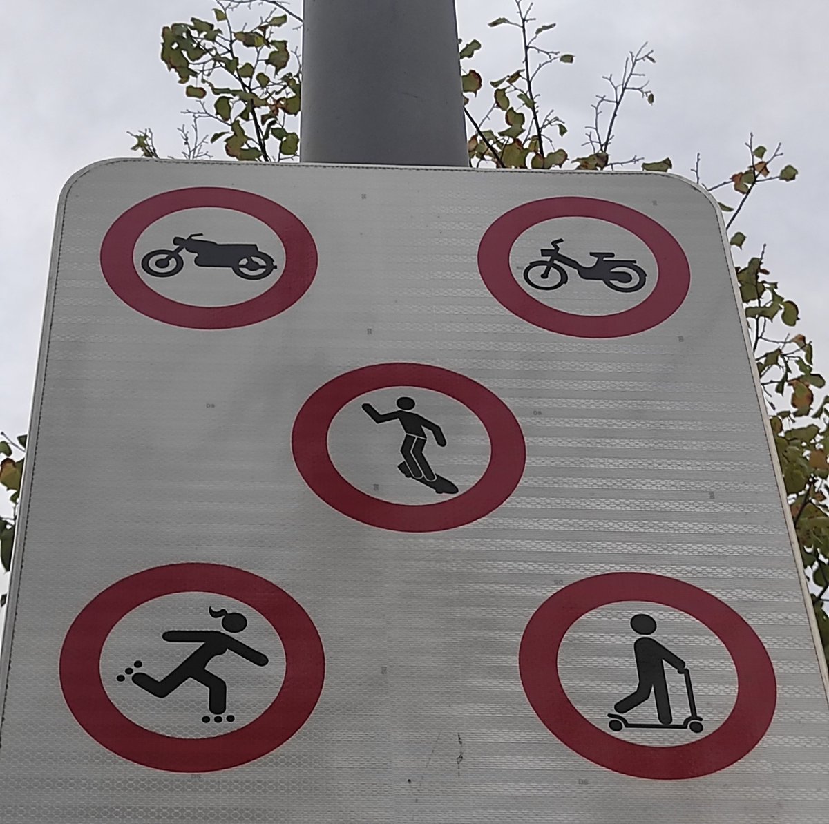 Prohibido, prohibido, prohibido...(también balones).
Pues nada, será mejor estar sentado/a en las terrazas de las plazas, con el cigarro, la cerveza y la pantalla.
Cuanta incoherencia...
#movimiento #actividadfísica #ocioalternativo