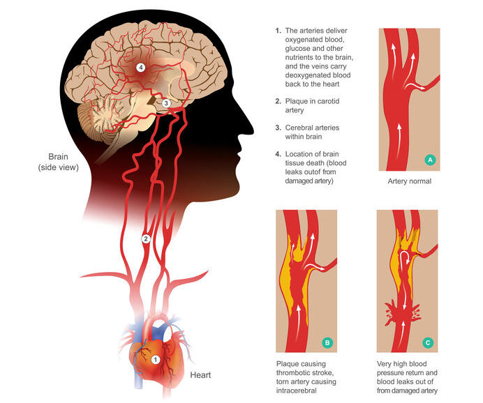 Dirección General de Salud La Habana tweet media