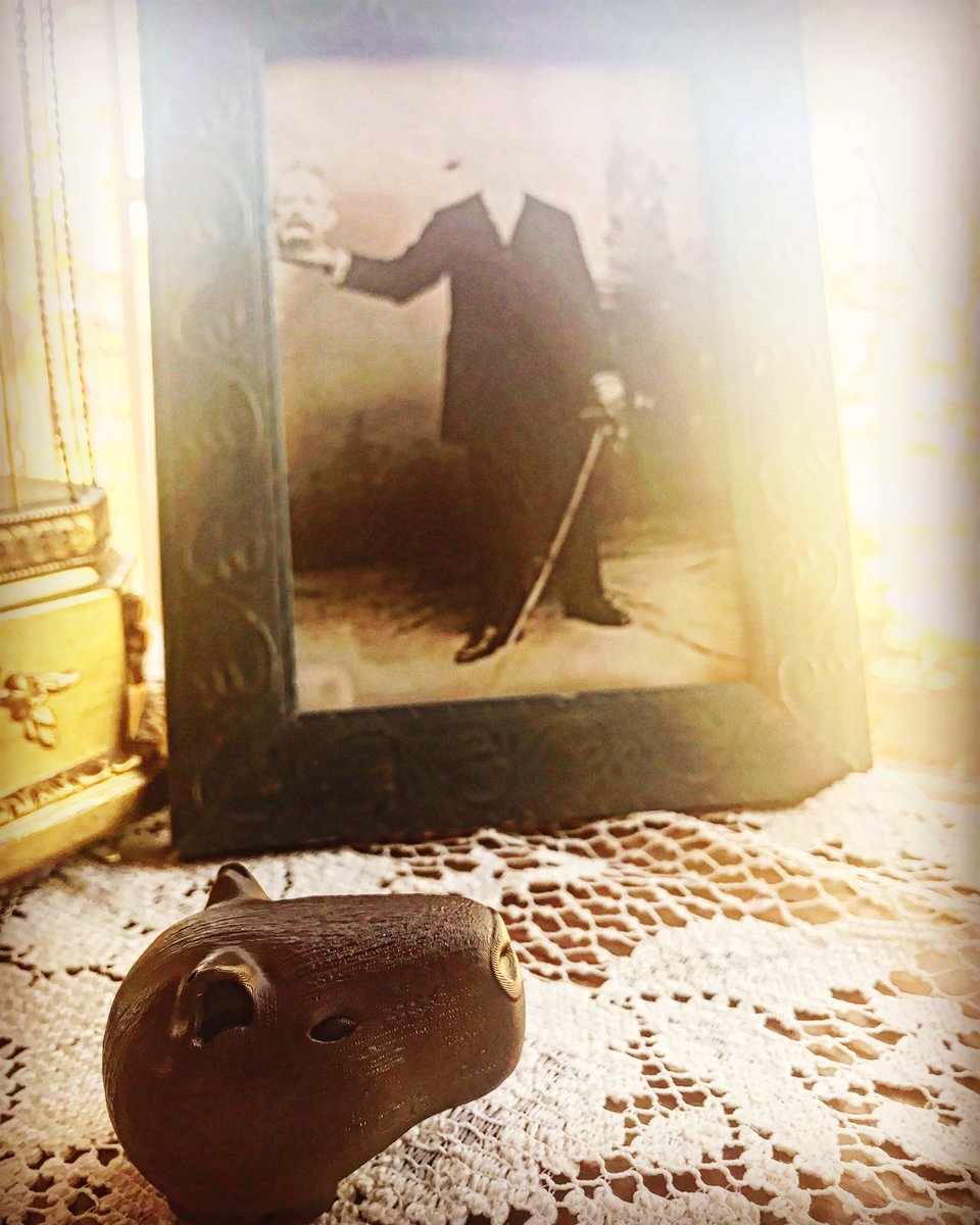 CapySkull's tweet image. Inspiration… #capybara #spookyseason #teapet