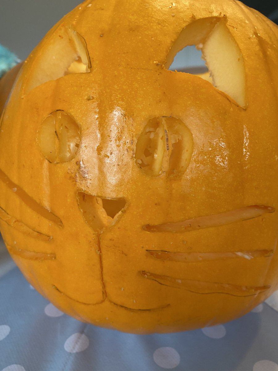 BalooClaude's tweet photo. Getting #Halloween ready! 😸 #CatsofTwittter https://t.co/0Lzs7L7VRC