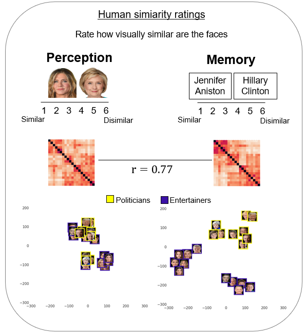 Our preprint is finally out! Our study shows that human face representations go beyond vision. We combined visual and semantic DNNs to account for the representation of familiar faces in human perception and memory.
biorxiv.org/content/10.110…