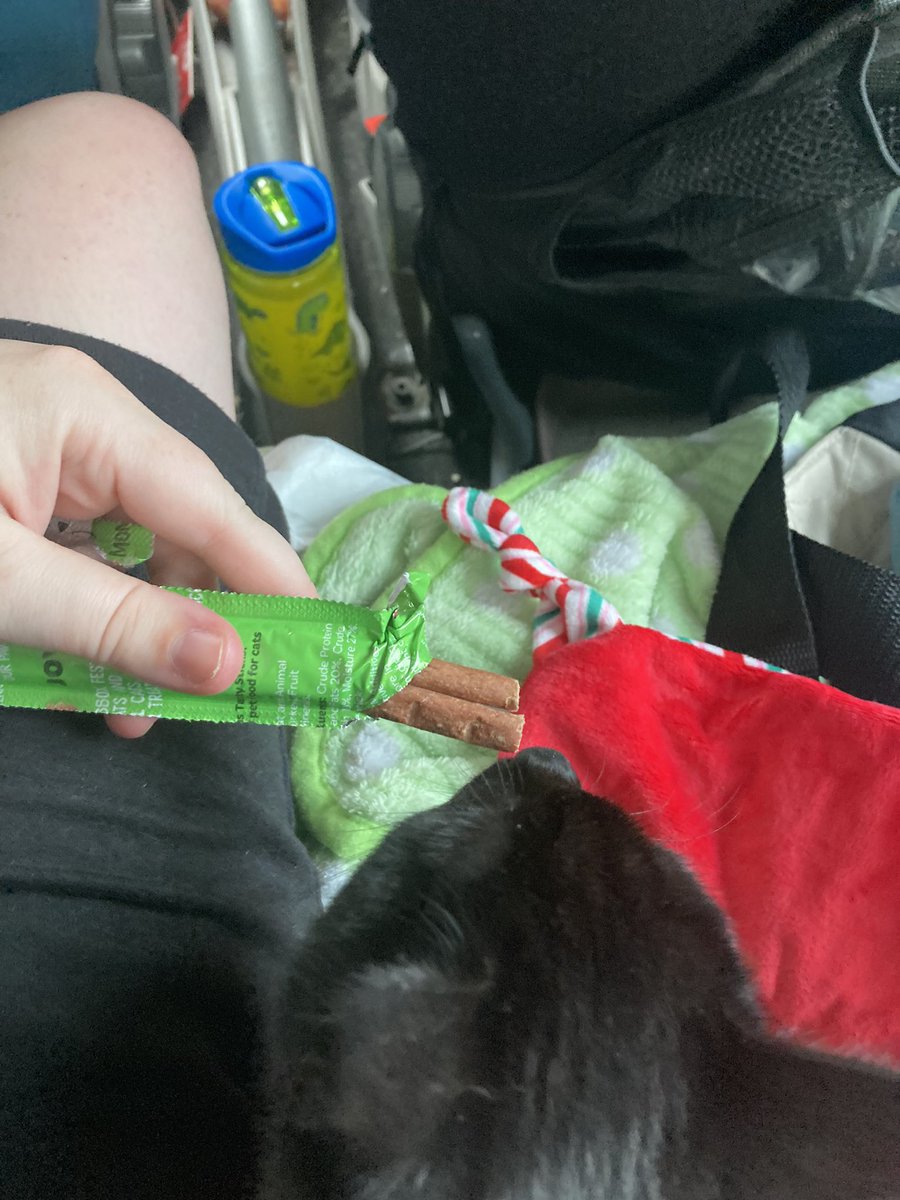 AngelAd07825927's tweet photo. @WebboxPetFood @htafc #webboxVIP this is our kitten shadow, he loves webbox sticks and was happy that he got a pack with two in one yesterday! https://t.co/YWoRTnFEkF