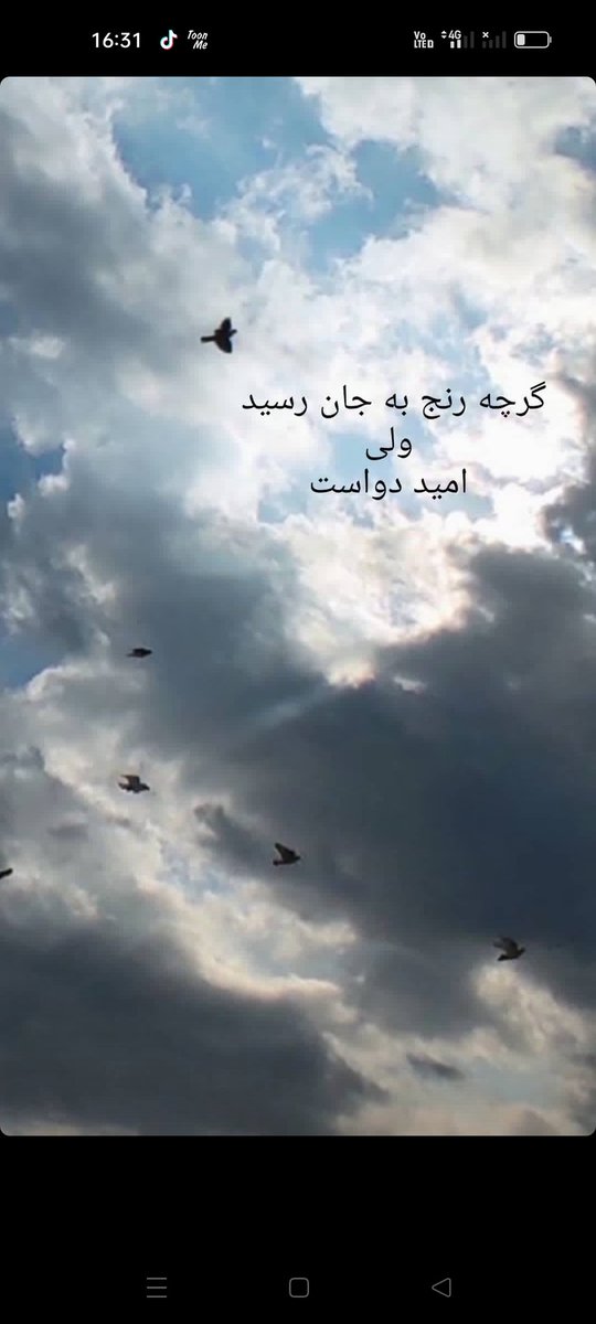 NazariAsia's tweet photo. به امید رهایی🕊️ 
#StopHazaraGenocide https://t.co/XC80jjzQSz