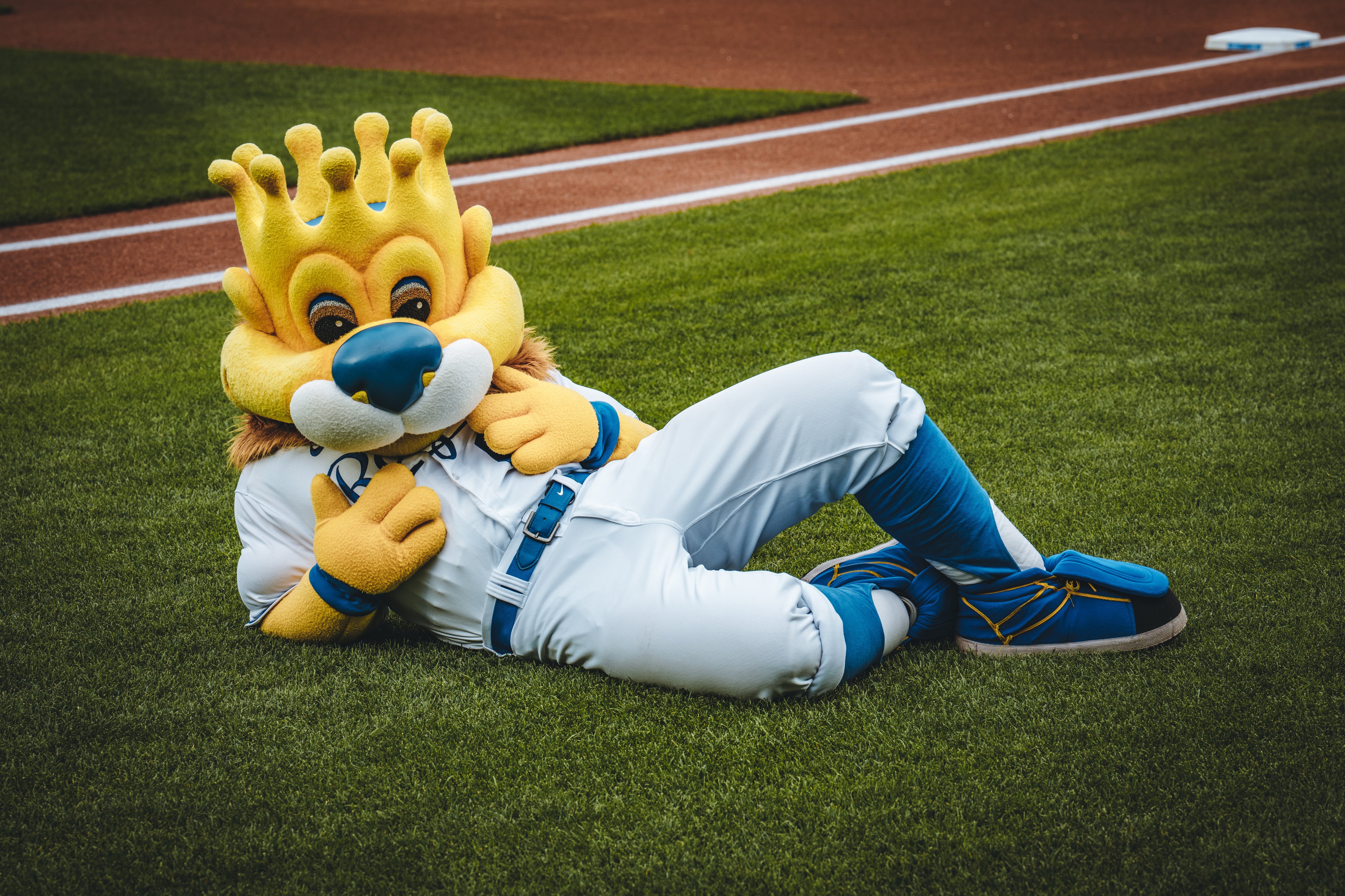 Kansas City Royals on X: Greinke's favorite ballpark cat. #NationalCatDay   / X