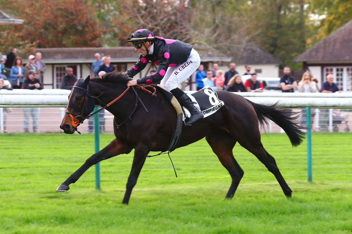 Jour de Galop tweet media