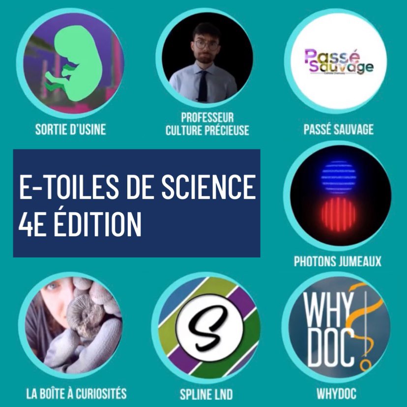 angela_hin's tweet photo. [2/2 E-TOILES] @Pariscience #pariscience #pariscinece2022 #SciComm 

🧑‍💻Sortie d'Usine: histoire de l'open space

🔢 @Professeur_1618 compter 1 milliard?

🏜@PasseSauvage archéologie vallée d’Alula

🐚@curiosiboite mystères fossiles

🚹 @Whydoc_ dépistage cancer prostate https://t.co/teClEcBKPE