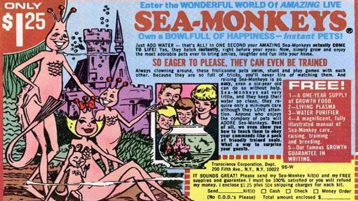 HarrisonSmith85's tweet photo. My coming #80s #book from @bearmanormedia looks at the impact of #80smovies, #80smusic & pop culture's impact on my high school years & the nation.
A personal & nostalgic trip back in time!
Coming 2023!
@podcastAll80s @80svhsclub #80sThrowbacks https://t.co/qoZupjh6YO