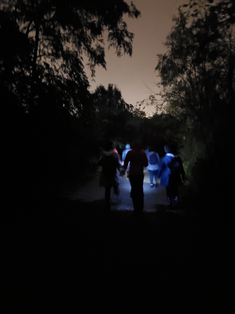 Wishing everyone a happy Halloween weekend! 

#scavengerhunt #hiking