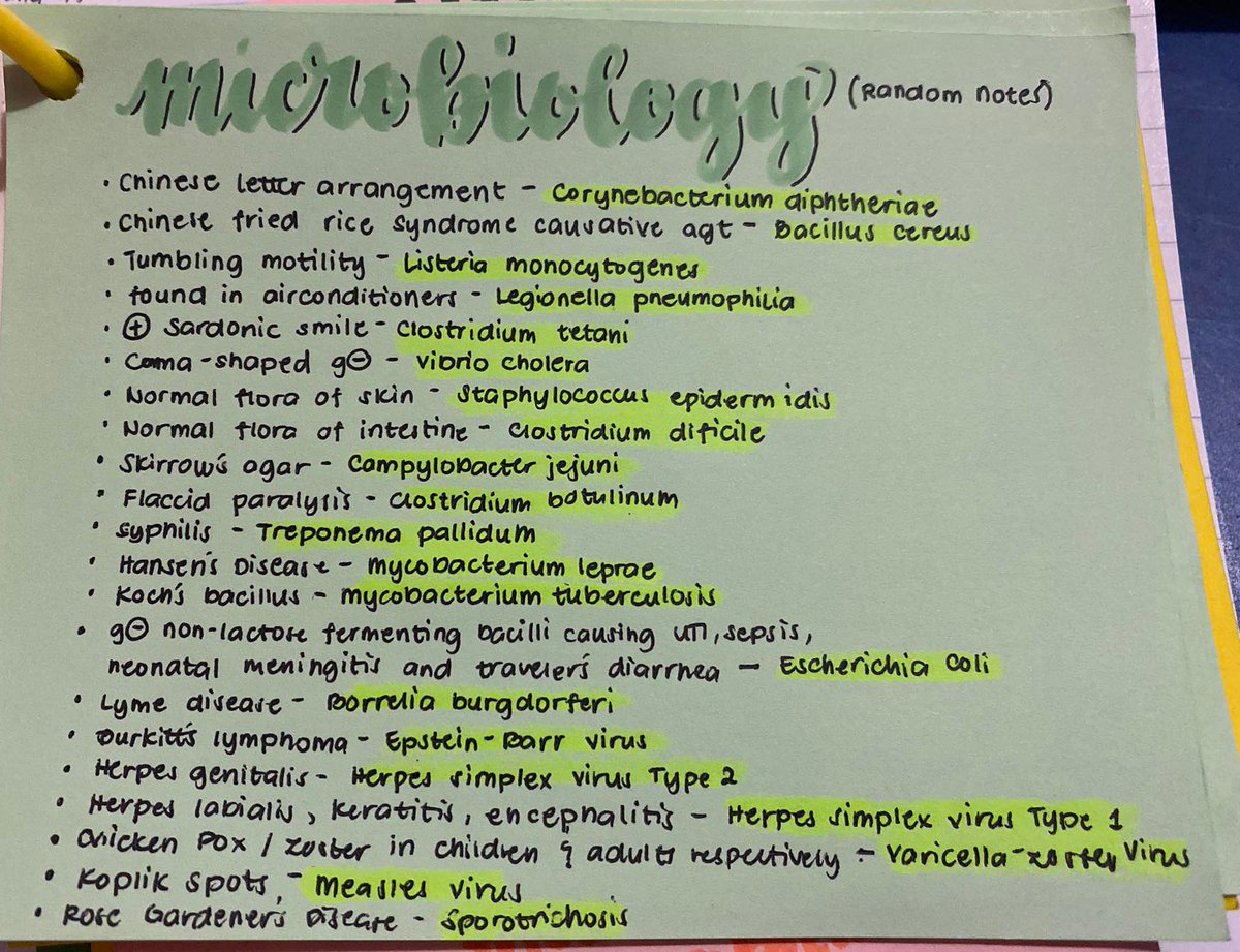 morskiecizine's tweet photo. 🟣 Micro random notes https://t.co/RDg87ZGKY0