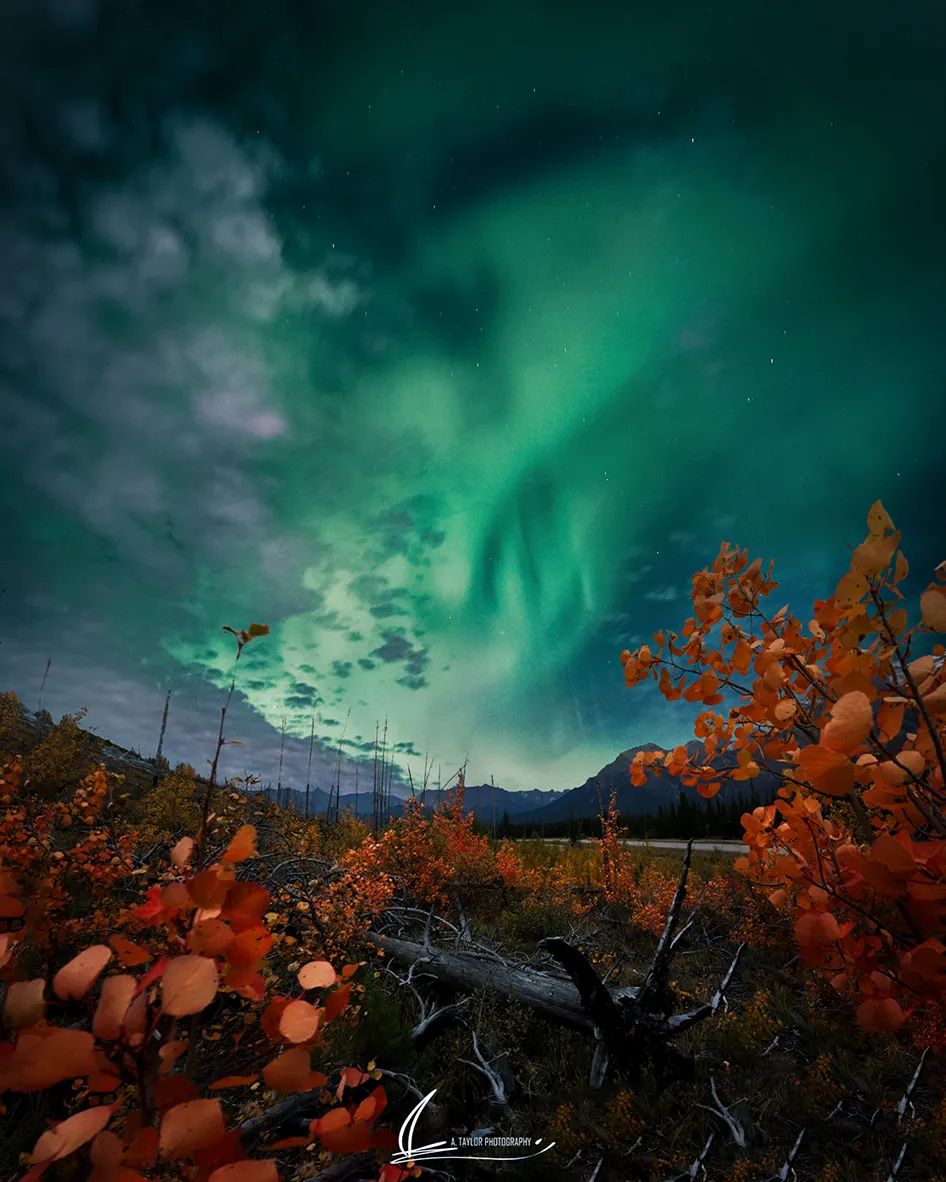 Spooky season vibes in the Rockies. 🎃

Photo by: <a href="/780_adrian/">Adrian_780</a> on IG
#MyJasper  | #VentureBeyond