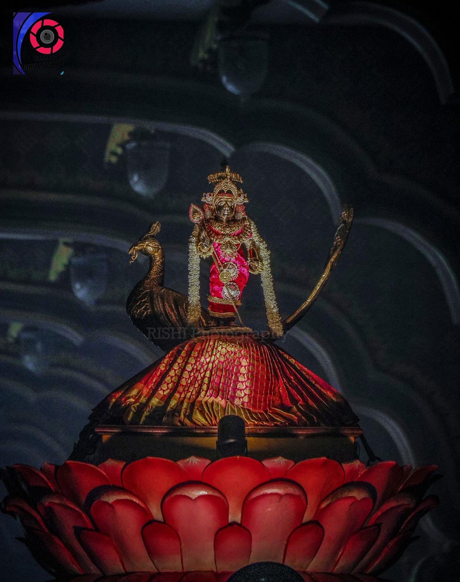NallurTemple's tweet photo. 🙏🏼 #ௐ #முருகா #நல்லூர்முருகன்துணை  #நல்லூர்கந்தன்துணை #நல்லூர் #யாழப்பாணம் #Nallur #Jaffna #SriLanka #Worship https://t.co/ePw1Ikjead
