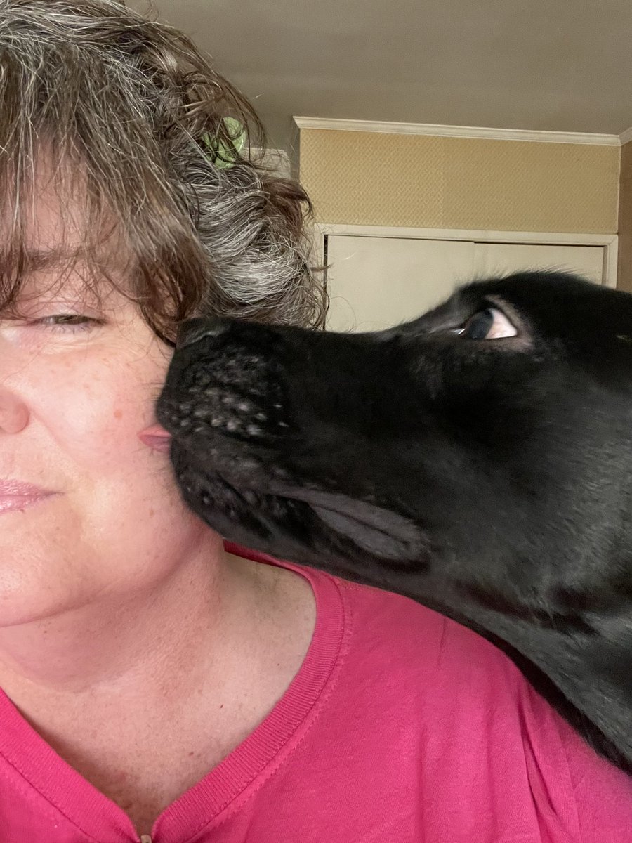 Getting tiny puppy kisses ♥️ #dogsoftwitter #DogsOnTwitter #dogsofinstagram  #dogs #gulfportMS #allaboutme #baileygrace #puppygirl #PuppyLove #blacklab #labrador #ilovelabs #ilovedogs