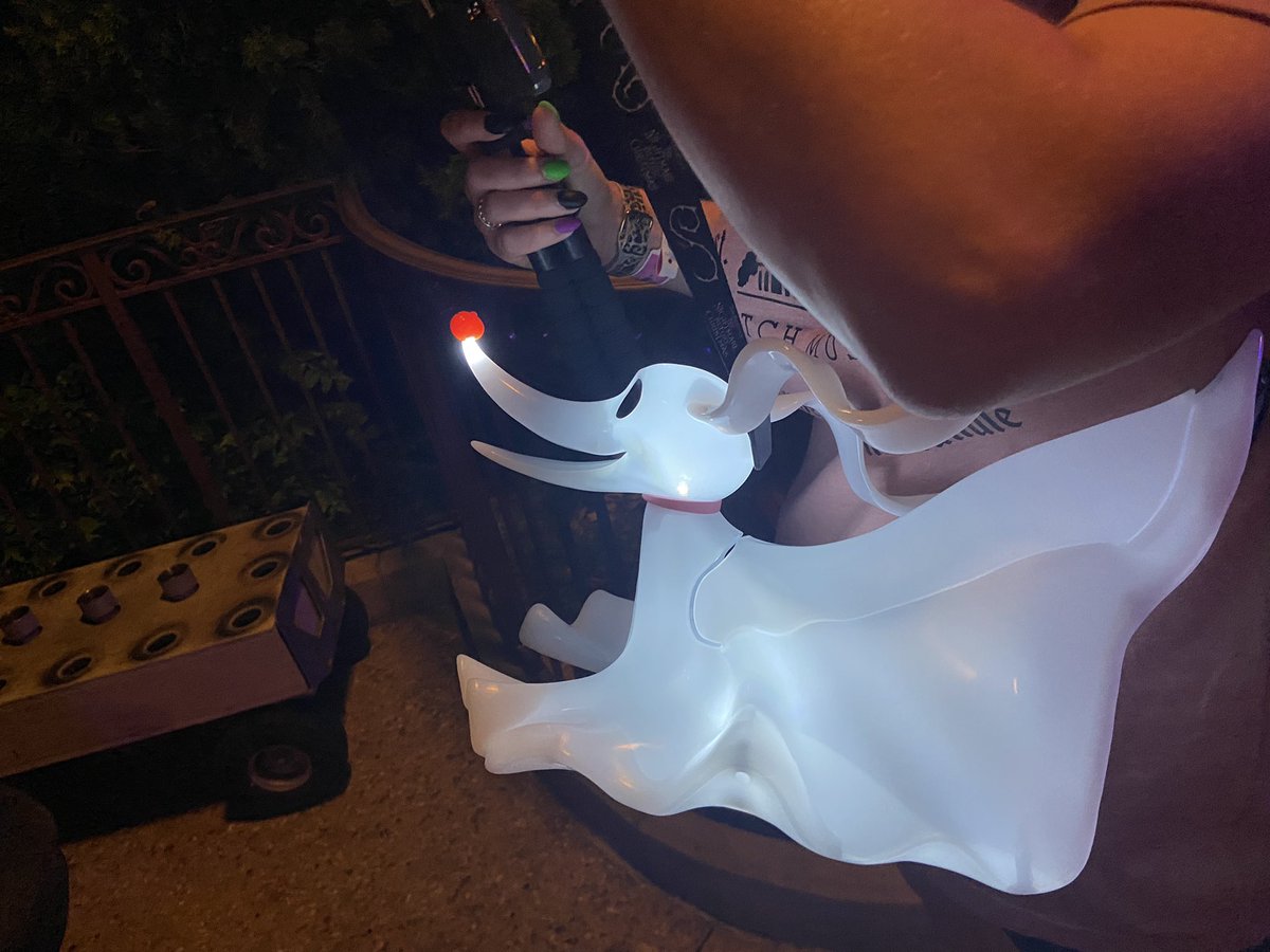 Bugg_pup's tweet photo. Zero popcorn bucket obtained ! #mnsshp #WaltDisneyWorld #MagicKingdom https://t.co/tIW1BM2T5J