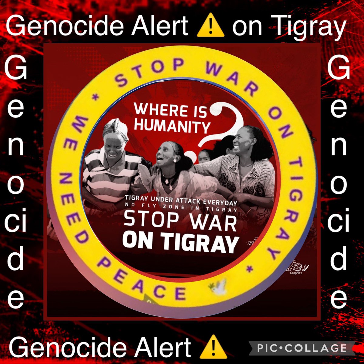 Almaztade's tweet photo. THE FIGHTFORTIGRAY, a documentary on the on-going #TigrayGenocide byRomanDebotch is coming to Denver Sunday, November 13! 
Watch with us as thefilm goalis to spread awarenessonthecivilwarand humanitarian crisis. Allfundswillbe donated!!
https://t.co/P88DRVWSDl @HolocaustMuseum https://t.co/KXJK63zG53