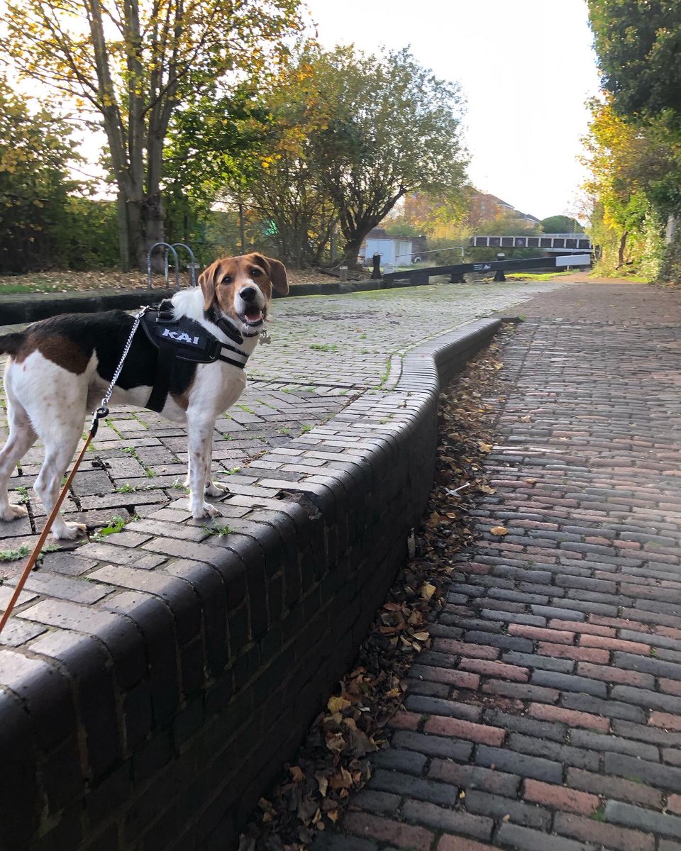 Chris🏴󠁧󠁢󠁥󠁮󠁧󠁿🇲🇹 tweet media