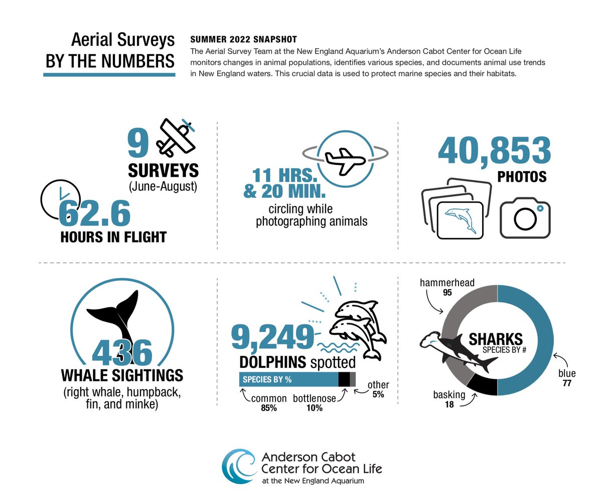 A recap of our summer #AerialSurveys! 🛩️

Imagine flying for 62.6 hours. Our aerial survey researchers did just that! That's the equivalent of watching all three seasons of Stranger Things 2.5X through! 😮

Stay tuned for info about our ongoing fall aerial surveys!