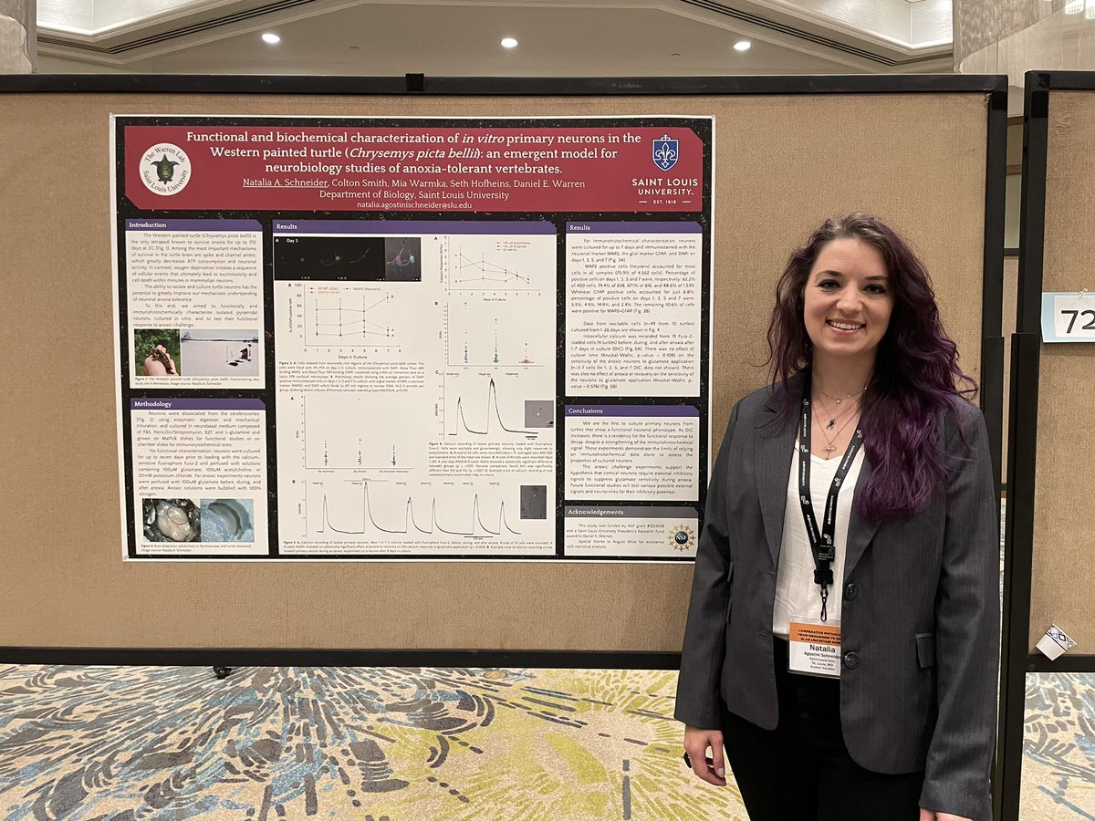 SLUCompPhys's tweet image. The Warren lab is all set to present their posters! PhD student @SchneiderNAS and undergraduate Sam Hogue present their posters today at the @APS_CEPS #Comparative2022 meeting in San Diego today! 
@SLUBiology @SLUResearch
