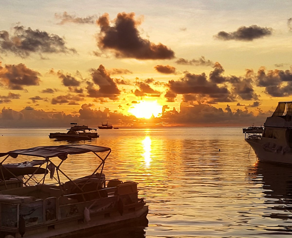 I don't catch nearly enough sunrises. It's always worth it, isn't it?! 

#sunrise