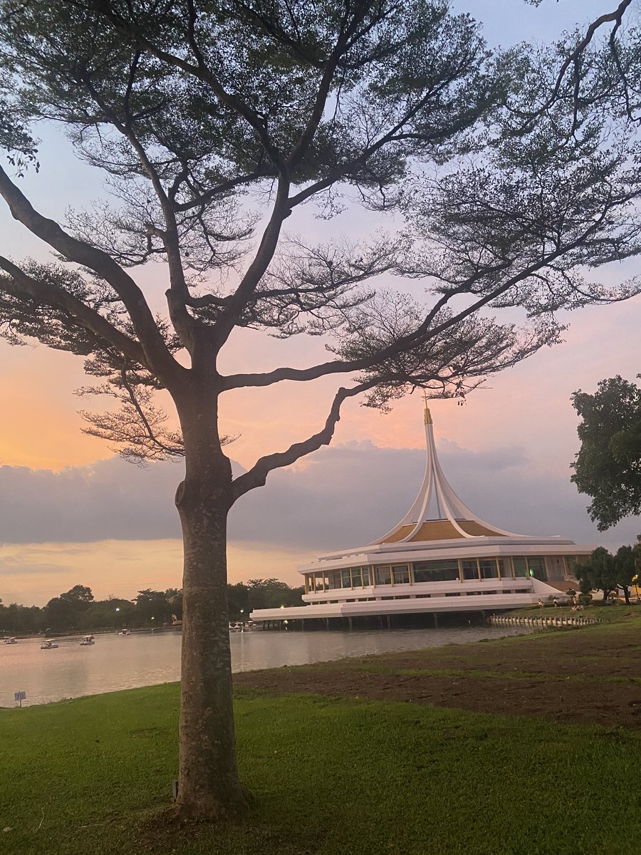 JazzyKateRider's tweet photo. ดีจัง🌳☺️ https://t.co/EuAfQTm0Ok