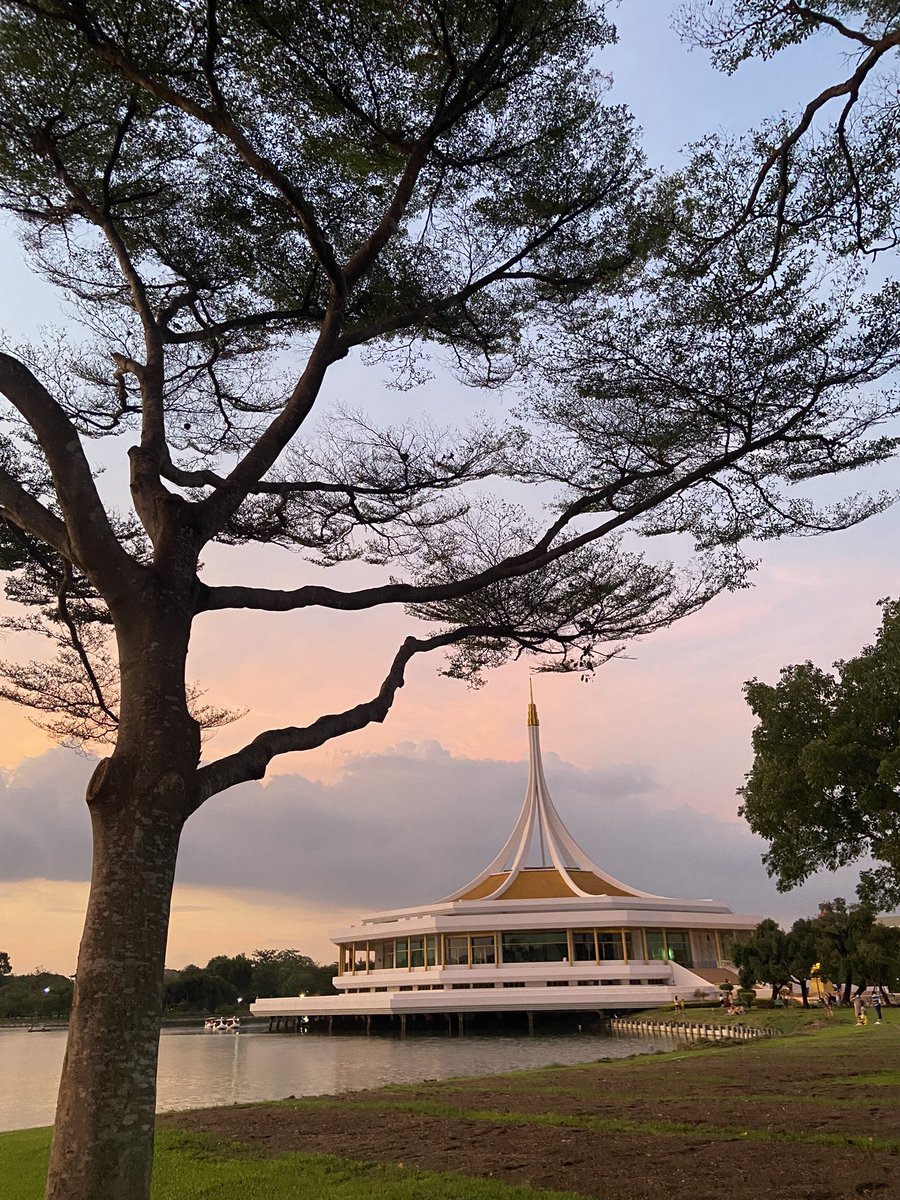 JazzyKateRider's tweet photo. ดีจัง🌳☺️ https://t.co/EuAfQTm0Ok
