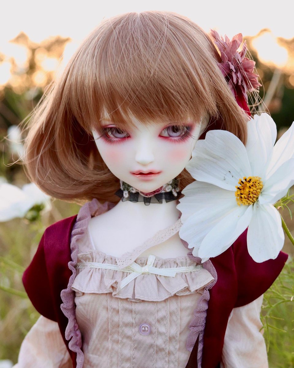 kurumi145's tweet photo. まだ初々しい花音くん。
とっても大好きな季節です😘
#superdollfie
#dollfiedream
#bjdollphotograph
#volks
#f63 https://t.co/wnAgaAjuKI
