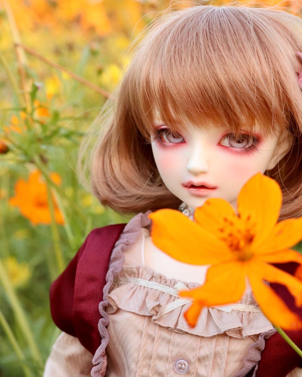 kurumi145's tweet photo. まだ初々しい花音くん。
とっても大好きな季節です😘
#superdollfie
#dollfiedream
#bjdollphotograph
#volks
#f63 https://t.co/wnAgaAjuKI