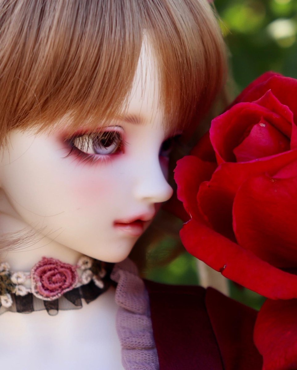 kurumi145's tweet photo. まだ初々しい花音くん。
とっても大好きな季節です😘
#superdollfie
#dollfiedream
#bjdollphotograph
#volks
#f63 https://t.co/wnAgaAjuKI