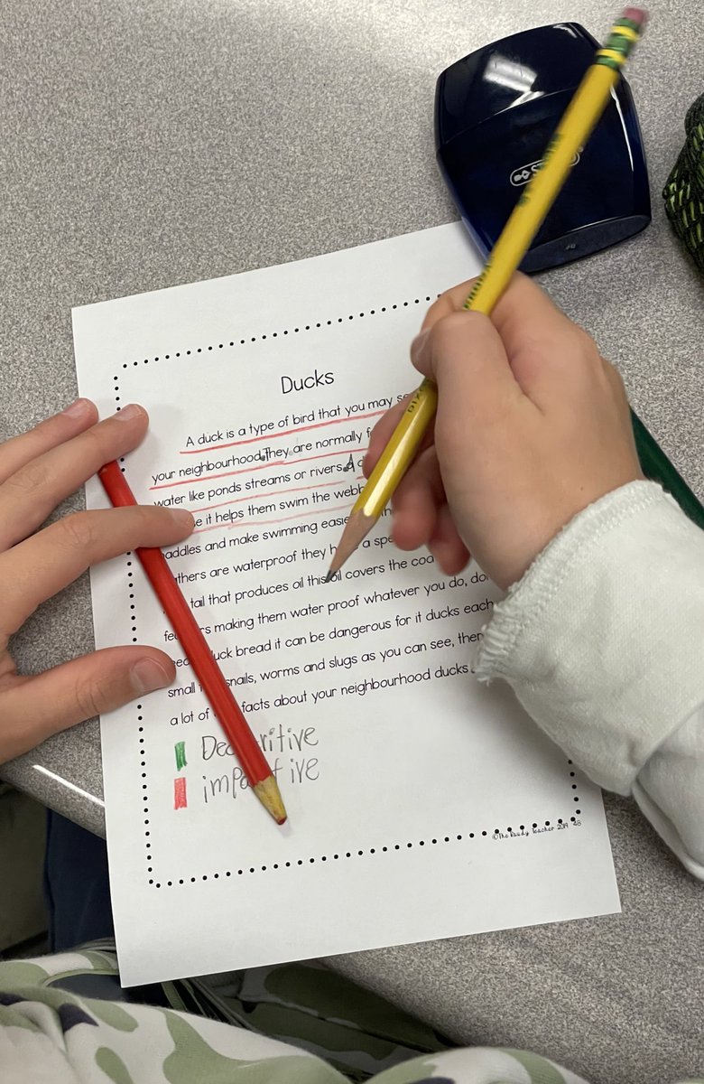 MrsFleetsTweets's tweet photo. Students were introduced to 4 different types of sentences that they could use in their writing. This week, we took a closer look at declarative and imperative sentences. Students used their editing skills and then identified the sentence types in the given paragraph @PAF_ps https://t.co/ChJgWVsTZl