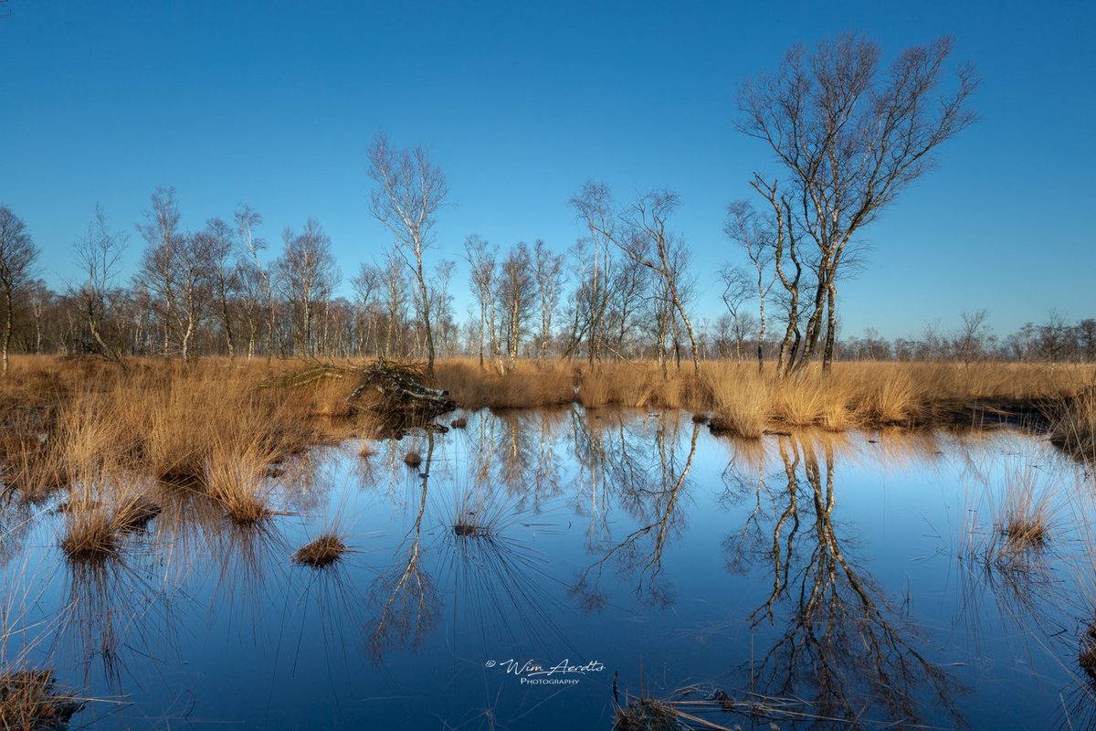 Wandelen door de Peel <a href="/LandvandePeel/">Land van de Peel</a> 'while talking English', zondag 30 oktober maandwandeling <a href="/walk_english/">Walk English</a> Start vanaf Hoeve Willem III Helenaveen. Reserveren is nodig. landvandepeel.nl/nl/de-regio/de…
