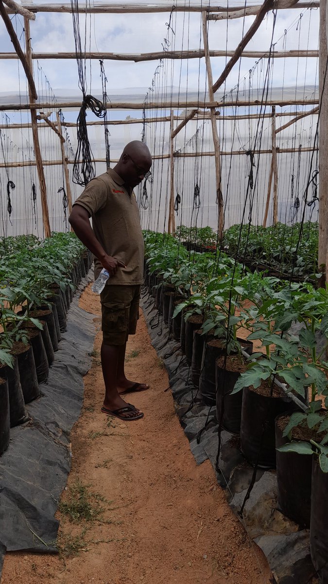 PETER GWIDIBIRA tweet media