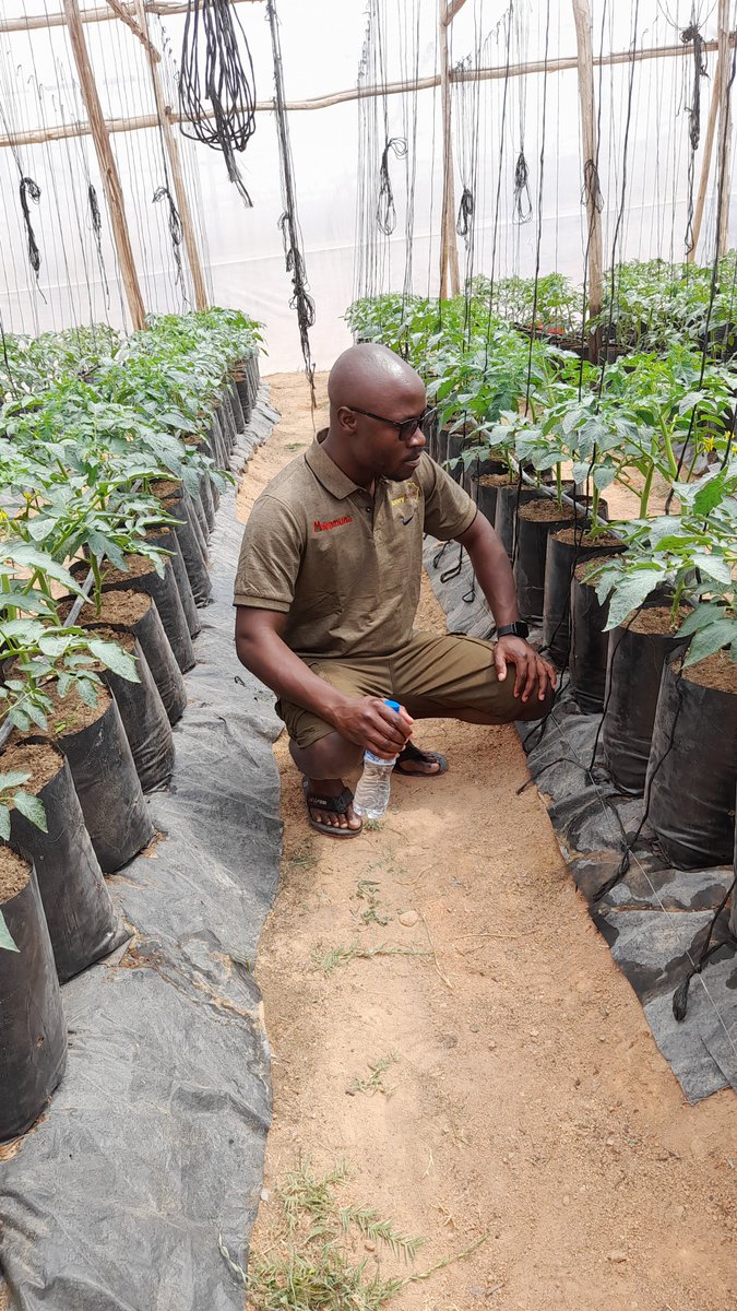 PETER GWIDIBIRA tweet media